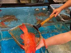-荣基四海一家·家常菜·海鲜大排档(新安店)