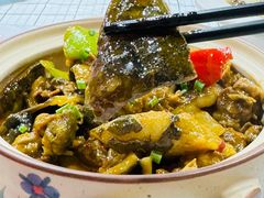 荆沙甲鱼-虎虎龙虾大排档(双井店)