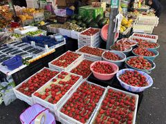 -南坛综合农贸市场