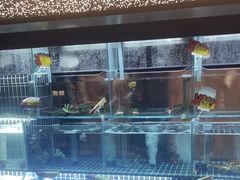 -苏淮景·苏闽融创菜·海鲜(原空港井河轩店)