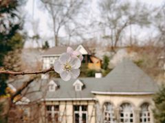 -天毓山庄·餐厅