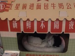 -红星前进面包牛奶公司(五道口购物中心店)