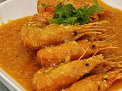 -丁老爷子苏香圆