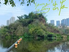 -重庆彩云湖湿地公园