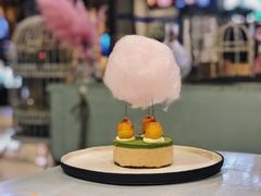 栗子云-随心小姐