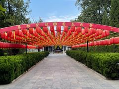 -大槐树寻根祭祖园