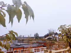 -泰山天颐湖旅游度假区