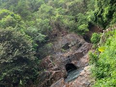 -银瓶嘴森林公园