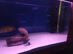 -沙沙哗啦海洋馆(华宇百花谷店)