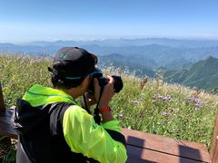 -白草畔自然风景区