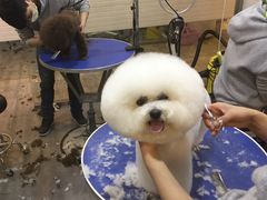-PETKIT小佩宠物(古北店)