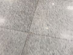 -强鸽来袭·靓鸡(西塱店)