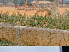 -杭州野生动物世界