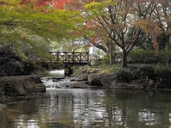 -中国茶叶博物馆(双峰馆区)