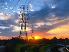 -王借岗森林公园