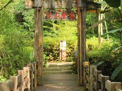 -雁南飞茶田景区