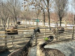 -水上乐园·欢乐世界