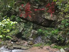 -江西阳明山国家森林公园