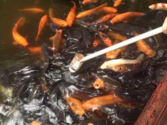 iphone_upload_pic-望江楼公园