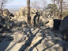 -阳台山自然风景区