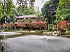 -温江公园