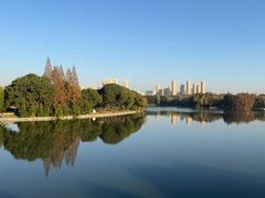 -高子水居