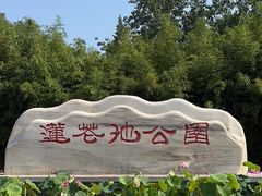 -莲花池公园