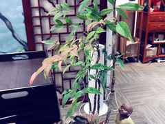 -中和·国风茶馆(愚园路店)