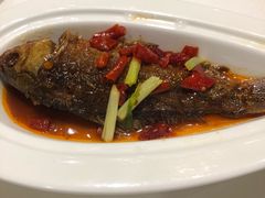 -安徽饭店