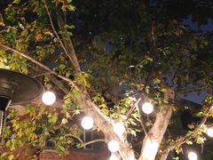 -Ginger(兴国路店)