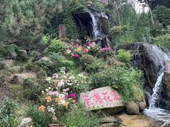 -沂蒙云瀑洞天景区