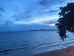 -卷心菜和避孕套餐厅(Pattaya)
