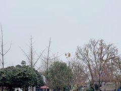 -洪湖家庭农场·团建·露营·会议