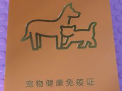 -东方名猫馆·英短金渐层布偶猫舍(环线广场1号楼店)