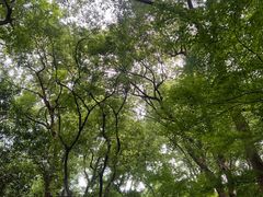 -城隍阁