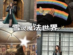 -雪灵魔法世界SHELLY’S TAROT(大良桂畔里店)