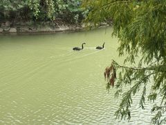 -长鹿旅游休博园