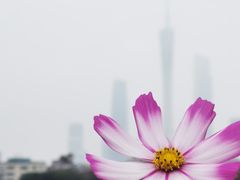 -海珠湖公园