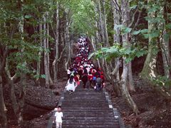 -窦圌山风景区