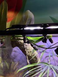 -酷嗒动物文化乐园(cutezoo西溪乐天城店)