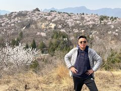 -白水寺森林公园