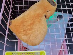 -娃娃集合营(上海闵行天街店)