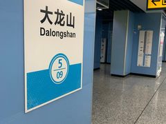 -大龙山(地铁站)