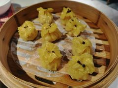 -点都德·毕德寮