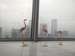 -汐月Health纤体spa中心