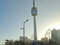 -陕西自然博物馆