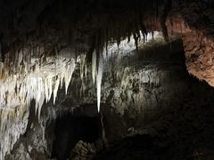 -怀托摩萤火虫洞