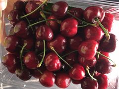 -上海菊园樱桃研究所