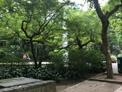 -九龙公园