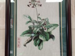 -中国中医科学院西苑医院(本部)